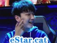 掌握猫神螳螂的最佳出装和符文攻略（打造无敌刺客！猫神螳螂出装和符文攻略详解）
