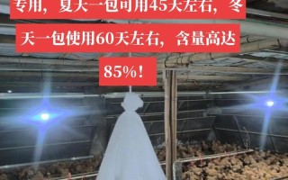 挑战立方逃生剧院（玩转逃脱之道，解开谜团无疑易如反掌！）