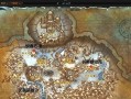 《魔兽世界采矿技能攻略》（掌握最有效的挖矿技巧，快速提升采矿等级）