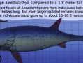 深入探索史前海洋生物进化之旅（揭开远古生物的神秘面纱，畅享海洋进化冒险之旅！）