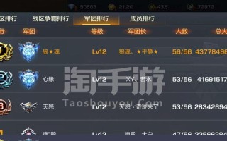 《魂斗罗手游双人攻略大全》（成为顶尖战士，与好友共同征战（）