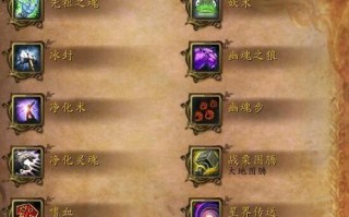 以萨满装备技能搭配攻略（掌握关键装备技能，打造强大的以萨满职业）