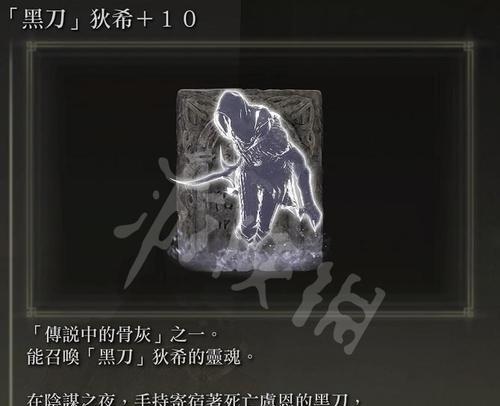 艾尔登法环匹配人解决方法（让你畅玩游戏的15个小贴士）-第3张图片-游技攻略库