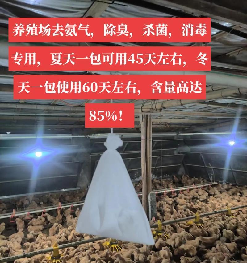 挑战立方逃生剧院（玩转逃脱之道，解开谜团无疑易如反掌！）-第1张图片-游技攻略库